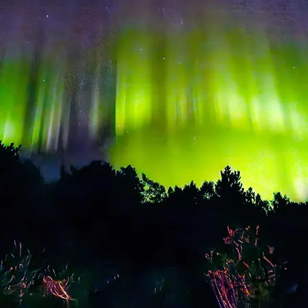 4 Person In Oydegard-by Traum