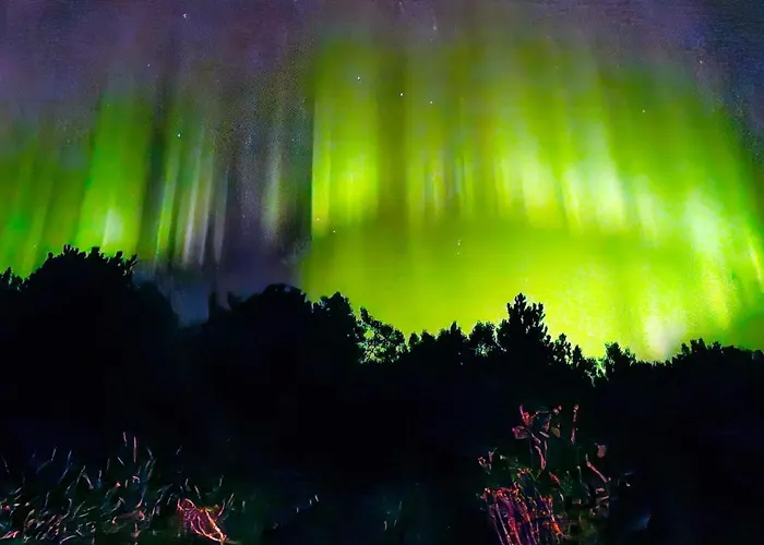 4 Person In Oydegard-by Traum